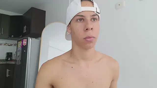 grey___27 webcam