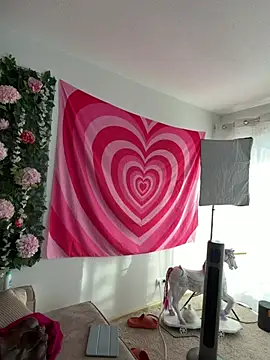 Stella-Kink webcam