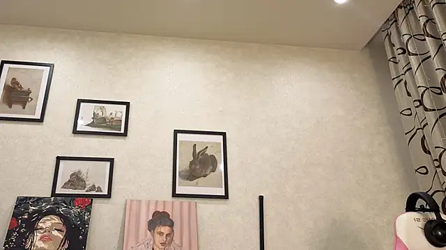 dolly_ll webcam