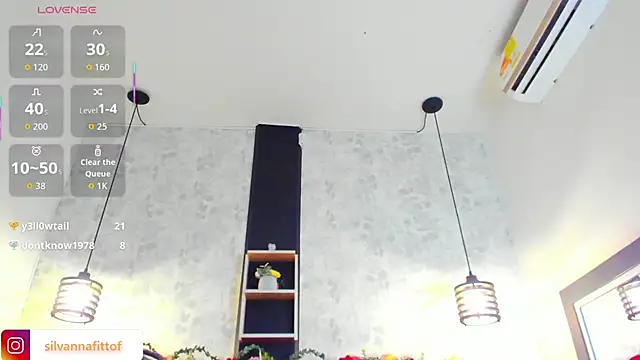 SilvannaFit webcam