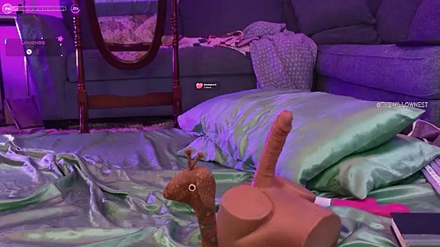 thewillownest_ webcam