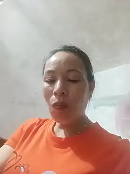 Stella-456 webcam
