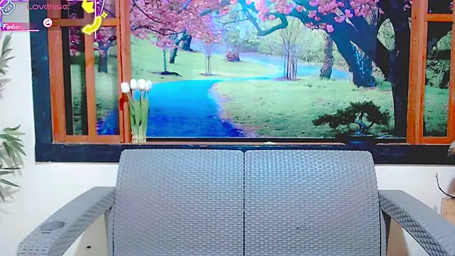 britanny_noroeste webcam