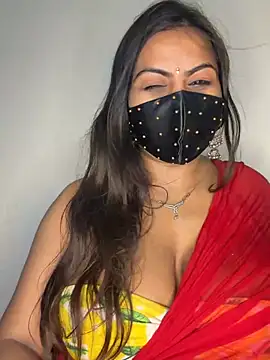 hot8178 webcam