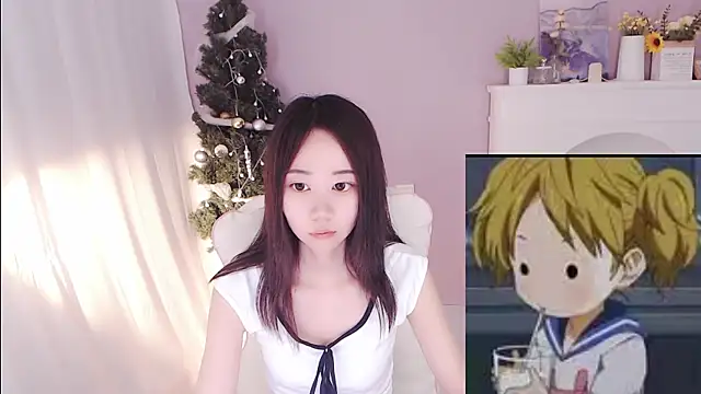 hall-33 webcam