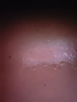 Dicky2212 webcam