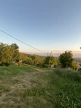 Alimela webcam