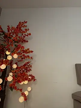 VictoriaHiill webcam
