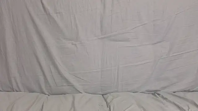 LissyWips webcam