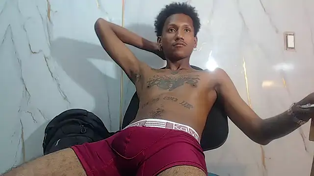 ManSant webcam