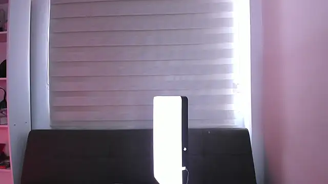 missallydoll webcam