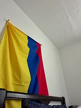 IrisBound webcam
