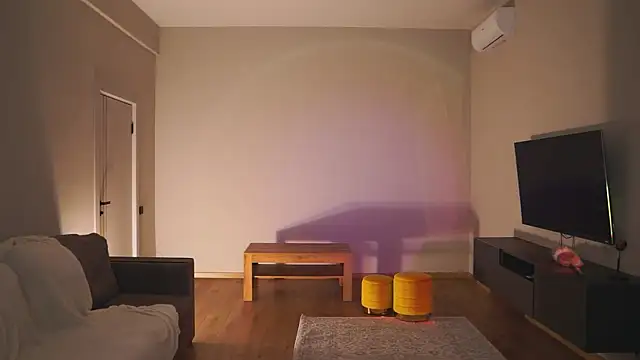 AdaBell webcam