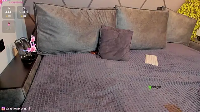 S0FlA webcam