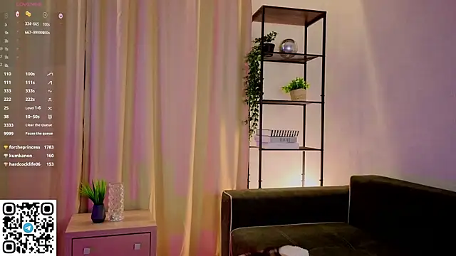 NerixalVire webcam