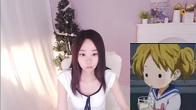 hall-33 webcam