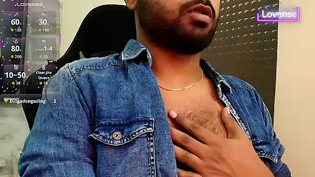 SilverShade3 webcam