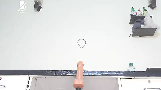 ElegantMiss webcam