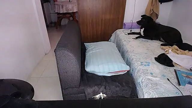 yselahot live cam on StripChat