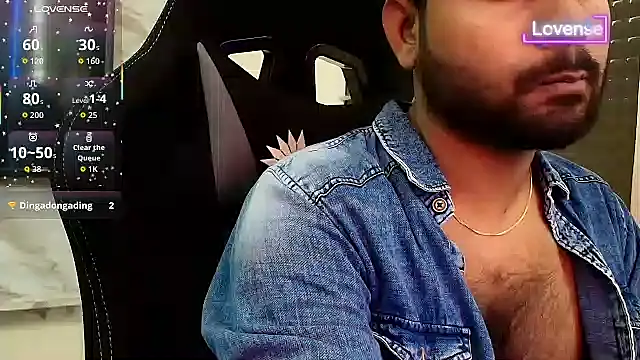 SilverShade3 webcam