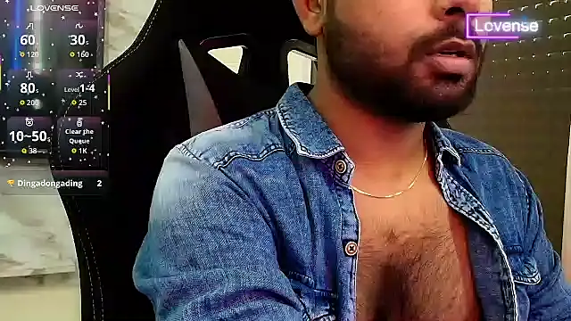 SilverShade3 webcam