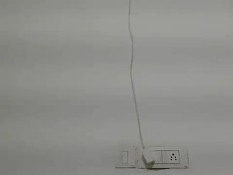 payaljaan800 webcam