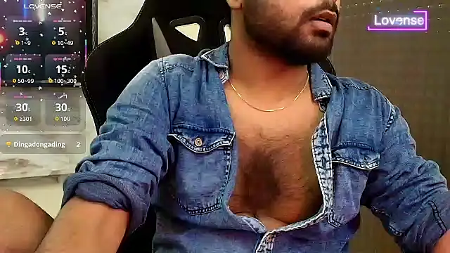 SilverShade3 webcam