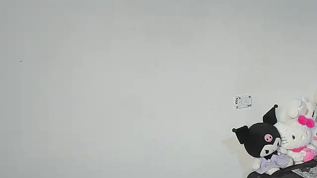 Eirlysx webcam