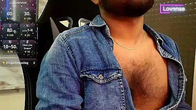 SilverShade3 webcam