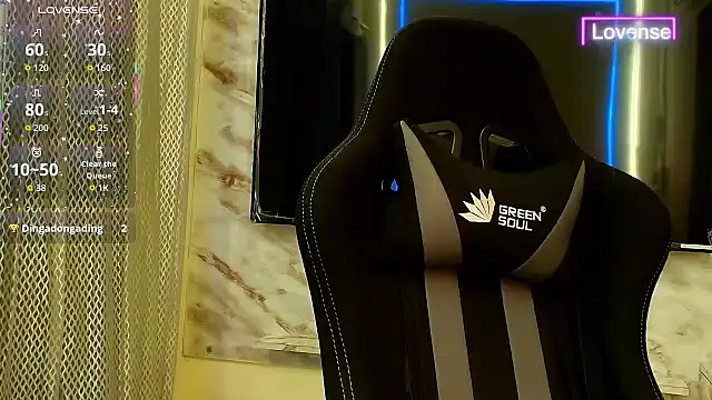 SilverShade3 webcam