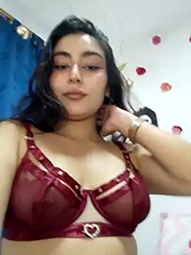 hancock-boa webcam