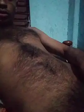 desibullboybd
