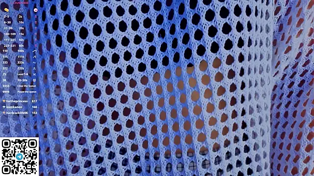 NerixalVire webcam