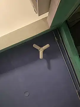 babyariane webcam