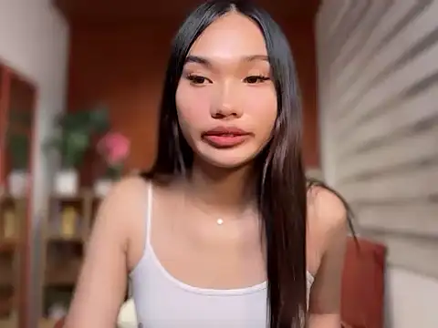 Model: universal_cutie