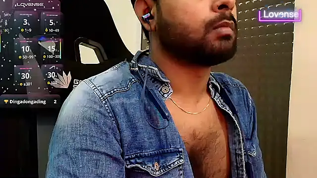 SilverShade3 webcam