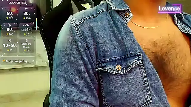 SilverShade3 webcam