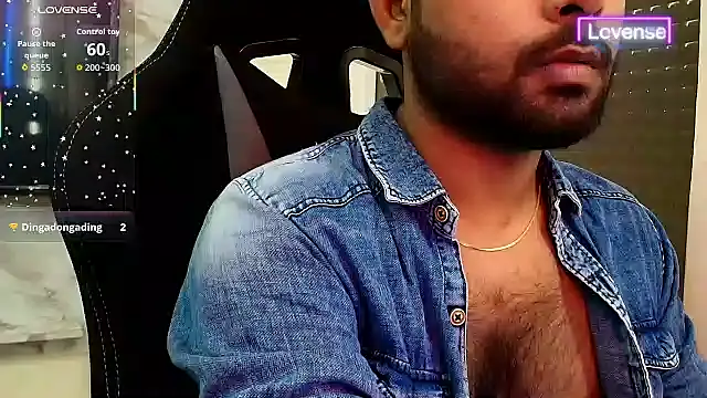 SilverShade3 webcam