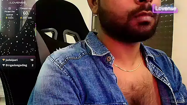 SilverShade3 webcam