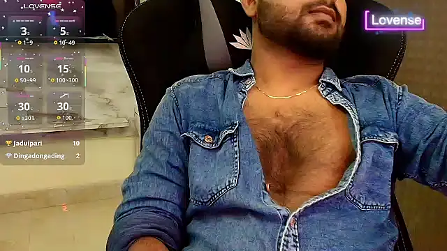SilverShade3 webcam