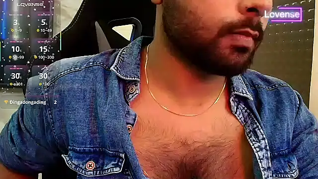 SilverShade3 webcam