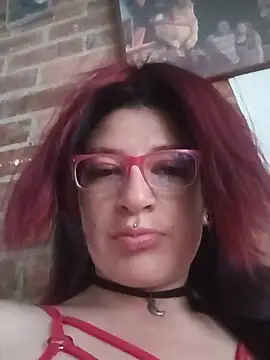 _Alaskamisa webcam