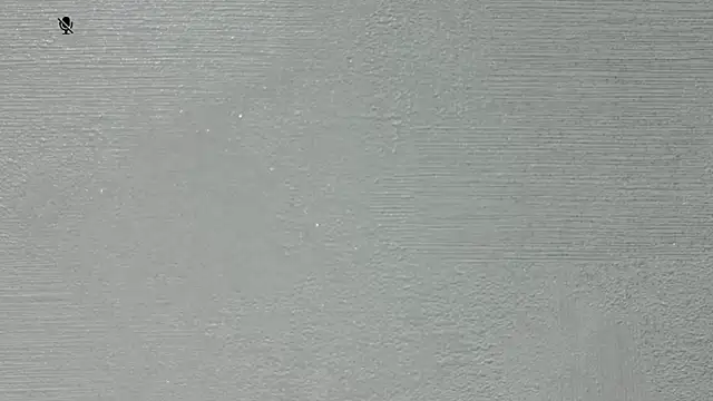 aylinblushing webcam