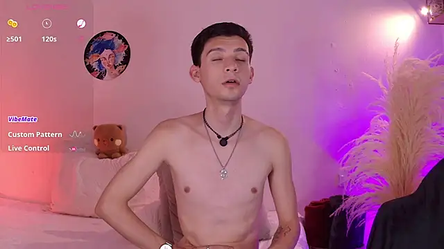 VicenteFerrer webcam