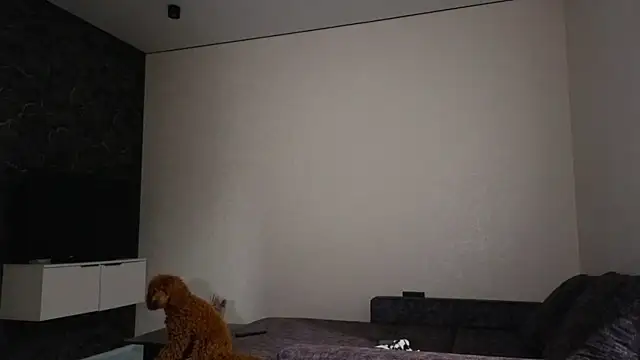 Sofia_Secret