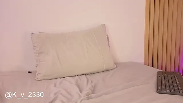 sofiesoft webcam