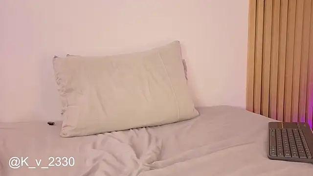 sofiesoft webcam