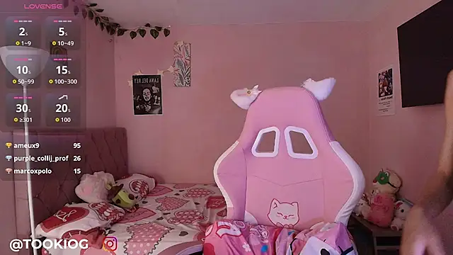 TOOKIOG_ webcam