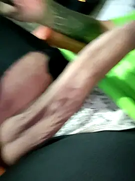 PIGHIGHDIRTY_p0 webcam