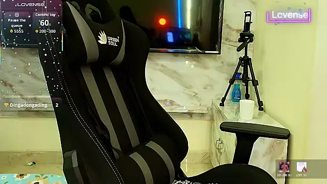 SilverShade3 webcam